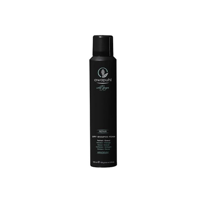 Шампунь для волосся Paul Mitchell Awaphui Wild Ginger Dry Foam BS-009531128399PI фото