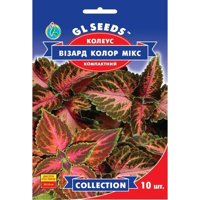 Насіння Колеус Візард Колор мікс GL Seeds 10шт (collection1240) 4823096912417 фото