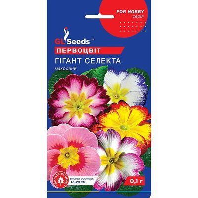 Насіння Примула (первоцвіт) Гігант Селекта GL Seeds 0.1г (For Hobby1100) 4823096909370 фото