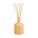 Косметичний засіб Lafco Paloma Melon Classic Diffuser, 177 мл КОСМ04500 фото 2