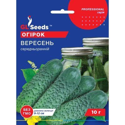 Семена Огурец сортовой Сентябрь GL Seeds 10г (Professional408) Professional408 фото