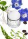 Косметичний засіб Chantecaille Bio Lifting Repair Concentrate +, 15 мл КОСМ02151 фото 3