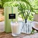 Косметичний засіб Nest Coconut and Palm Reed Diffuser, 174 мл КОСМ04551 фото 3