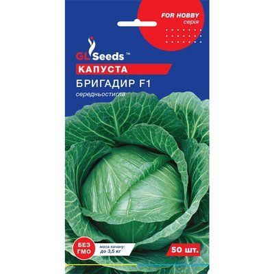 Насіння Капуста білокачанна Бригадир F1 Голандія GL Seeds 50шт (For Hobby2287) 4823096915166 фото