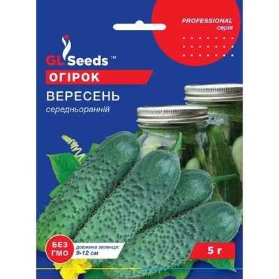 Семена Огурец сортовой Сентябрь GL Seeds 5г (Professional408) 4823096910871 фото