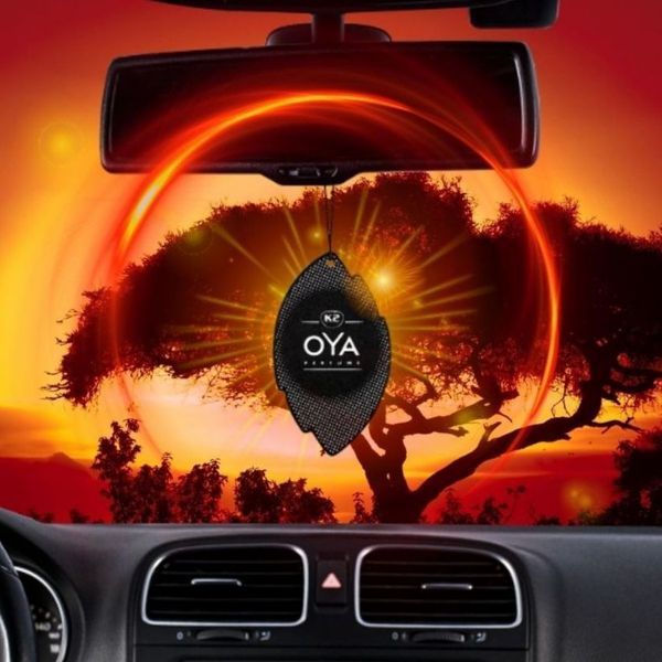 Ароматизатор для салону авто Oya дика зона K20506 фото