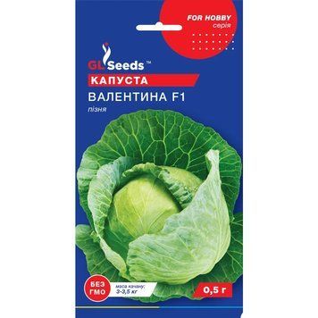 Насіння Капуста білокачанна Валентина F1 Німеччина GL Seeds 0.5г (For Hobby370) 4823096901275 фото
