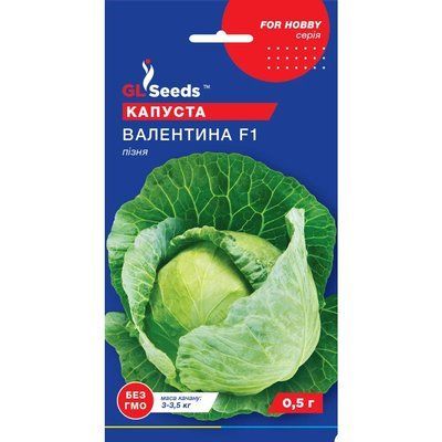 Насіння Капуста білокачанна Валентина F1 Німеччина GL Seeds 0.5г (For Hobby370) 4823096901275 фото
