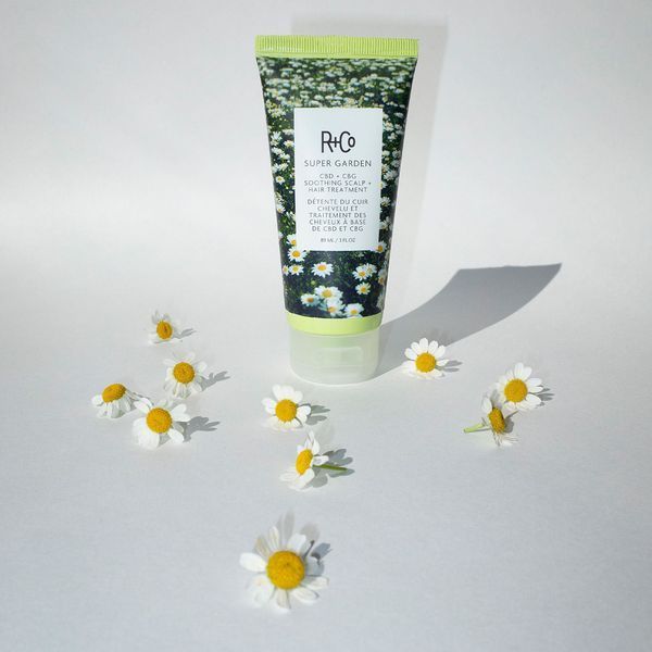 Косметичний засіб R+Co Super Garden CBD and CBG Scalp Treatment, 89 мл КОСМ02803 фото