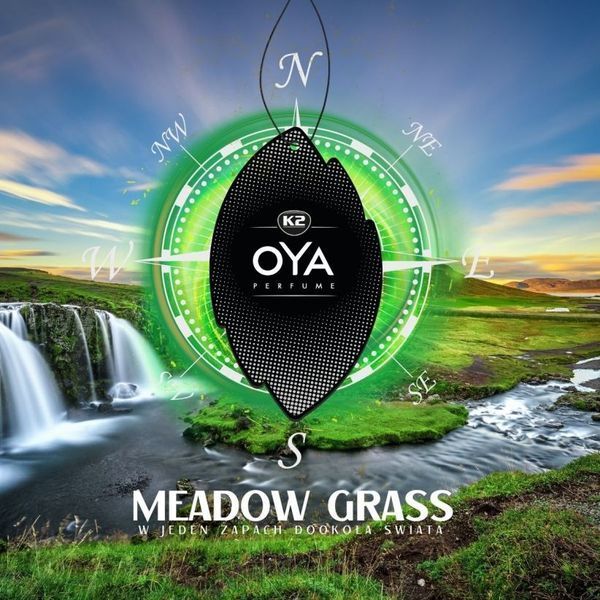 Ароматизатор для салону авто Oya лугова трава K20508 фото