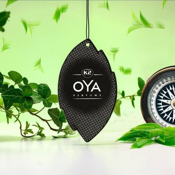 Ароматизатор для салону авто Oya лугова трава K20508 фото