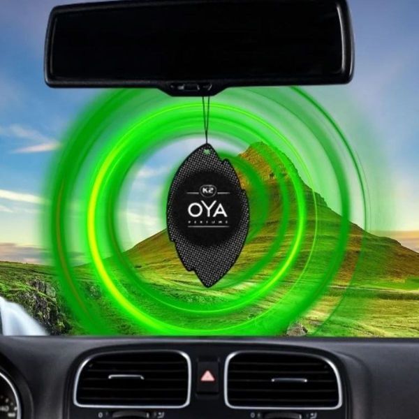 Ароматизатор для салону авто Oya лугова трава K20508 фото
