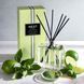 Косметичний засіб Nest Lime Zest and Matcha Reed Diffuser, 174 мл КОСМ04153 фото 4