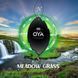 Ароматизатор для салону авто Oya лугова трава K20508 фото 3