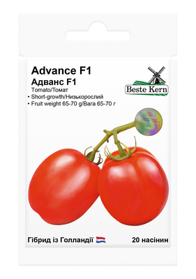 Насіння Томату Адванс F1 Beste Kern 20шт 4198_1 фото
