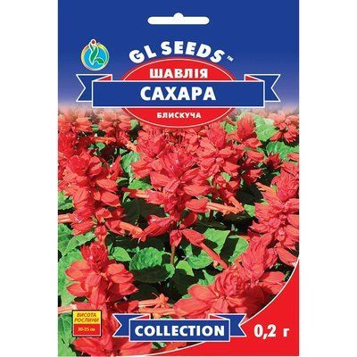 Насіння Шавлія Cахара GL Seeds 0.2г (collection1317) collection1317 фото