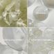 Косметичний засіб Chantecaille Blanc Peony Face Cream Dark Spot Corrector, 50 мл КОСМ01704 фото 5