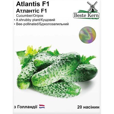 Насіння Огірок гібрид Атлантіс F1 Beste Kern 20шт (For Hobby2529) For Hobby2529 фото