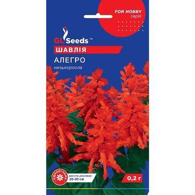 Насіння Шавлія Алегро GL Seeds 0.1г (For Hobby1102) 4823096909394 фото