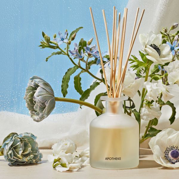 Косметичний засіб Apotheke Canvas Reed Diffuser, 198 мл КОСМ04205 фото