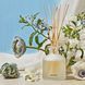 Косметичний засіб Apotheke Canvas Reed Diffuser, 198 мл КОСМ04205 фото 3