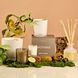 Косметичний засіб Apotheke White Vetiver Reed Diffuser, 198 мл КОСМ04607 фото 5