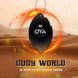 Ароматизатор для салону авто Oya чарівний світ K20503 фото 3