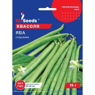 Насіння Квасоля спаржева Ява зелена кущова GL Seeds 15г (Professional319) 4823096911908 фото