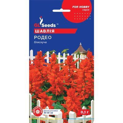Насіння Шавлія Родео GL Seeds 0.1г (For Hobby1105) 4823096909424 фото