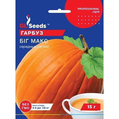 Насіння Гарбуз Біг Макс GL Seeds 15г (Professional2419) 4823096915890 фото