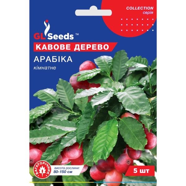 Насіння Кавове дерево Арабіка GL Seeds 5шт (collection1242) 4823096912455 фото