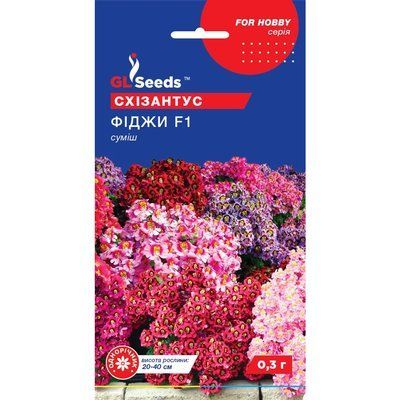 Насіння Схізантус Фіджі GL Seeds 0.25г (For Hobby1117) 4823096909547 фото