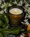 Косметичний засіб Flamingo Estate Night Blooming Jasmine & Damask Rose Candle, 237 мл КОСМ04060 фото 4
