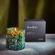 Косметичний засіб Lafco Absolute Forest Oakmoss Candle, 458 мл КОСМ04010 фото 3