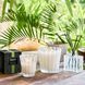 Косметичний засіб Nest Coconut and Palm Reed Diffuser, 174 мл КОСМ04161 фото 5