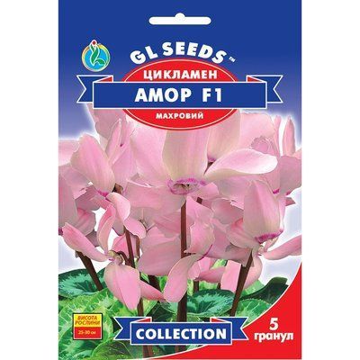 Насіння Цикламен F1 Амор GL Seeds 5шт (collection1332) 4823096913308 фото