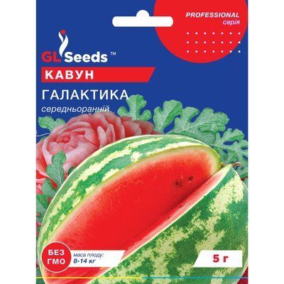 Насіння Кавун Галактика GL Seeds 5г (Professional271) 4823096909820 фото