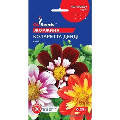 Семена Георгина Коларета Денди GL Seeds 0.25г (For Hobby980) 4823096908151 фото