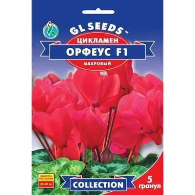 Насіння Цикламен F1 Орфеус GL Seeds 5шт (collection1335) 4823096913339 фото
