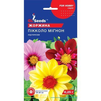 Семена Георгина Пиколо Мигнон GL Seeds 0.25г (For Hobby978) 4823096908175 фото