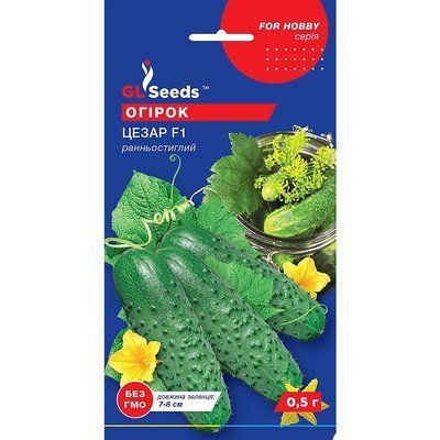 Семена Огурец гибрид Цезарь F1 GL Seeds 0.5г (For Hobby85) 4823096903019 фото
