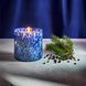 Косметичний засіб Lafco Absolute Balsam Black Pepper Candle, 458 мл КОСМ04016 фото 3