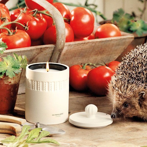 Косметичний засіб Jo Malone London Green Tomato Vine Townhouse Candle, 313 мл КОСМ04017 фото