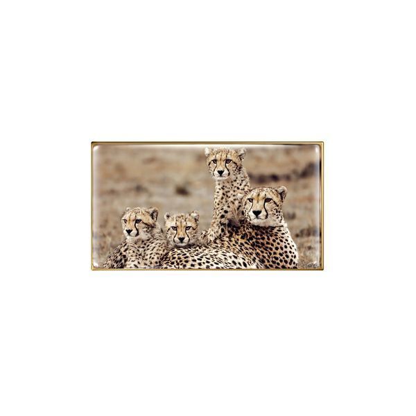 Косметичний засіб Chantecaille Cheetah Eye Trio (Limited Edition), 2 мл КОСМ02517 фото