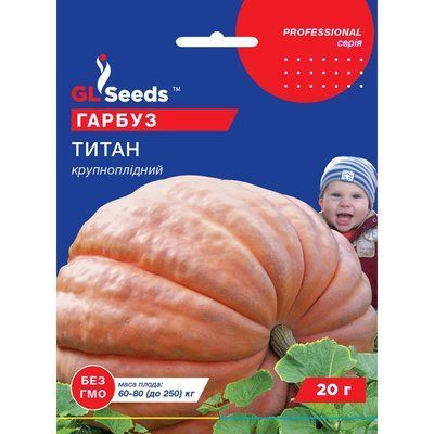 Насіння Гарбуз Титан GL Seeds 15г (Professional293) 4823096911847 фото