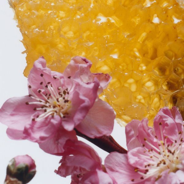 Косметичний засіб Jo Malone London Nectarine Blossom & Honey Home & Away Duo (Limited Edition), 30 мл КОСМ05169 фото
