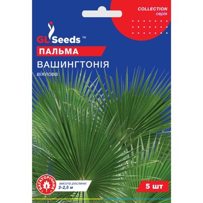 Насіння Пальма віялова Вашингтонія GL Seeds 5шт (collection1256) 4823096912592 фото