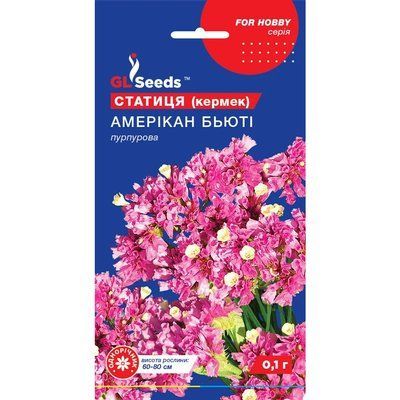 Семена Статица (Кермек) Американ Бьюти GL Seeds 0.1г (For Hobby1111) 4823096909486 фото