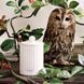 Косметичний засіб Jo Malone London Wild Berry and Bramble Townhouse Candle, 313 мл КОСМ04043 фото 3