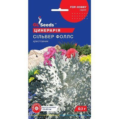 Насіння Цинерарія Сільвер Фолс GL Seeds 0.1г (For Hobby1126) 4823096909639 фото